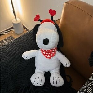 Snoopy Valentines Dog Large NWT